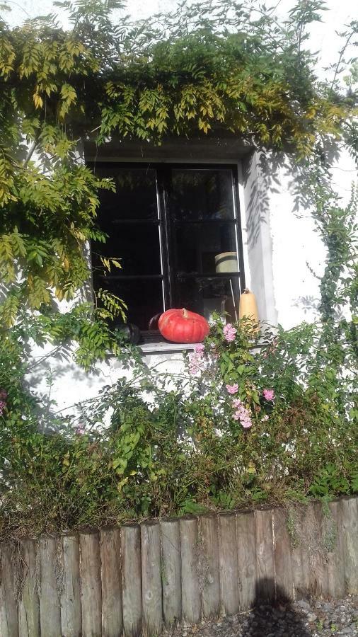 Bed and Breakfast La Colline des Roses Conchil-le-Temple Esterno foto