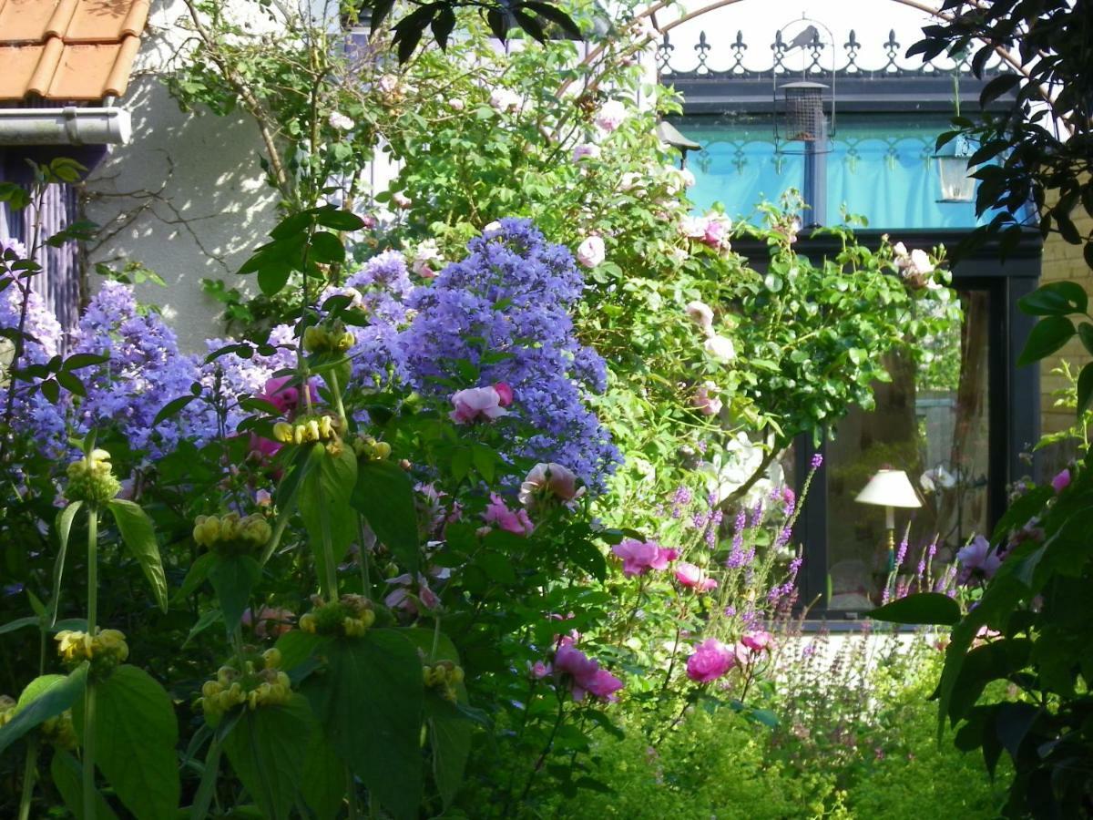 Bed and Breakfast La Colline des Roses Conchil-le-Temple Esterno foto