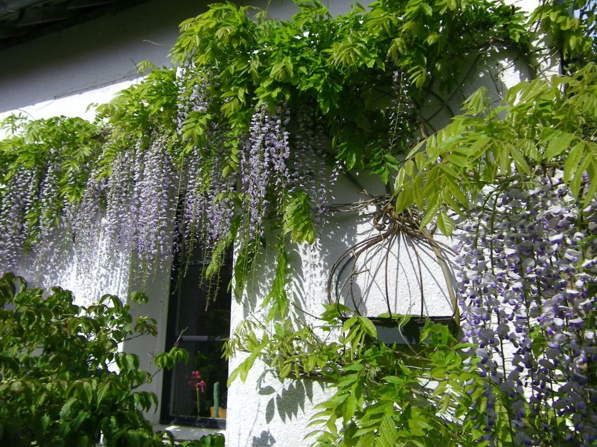 Bed and Breakfast La Colline des Roses Conchil-le-Temple Esterno foto